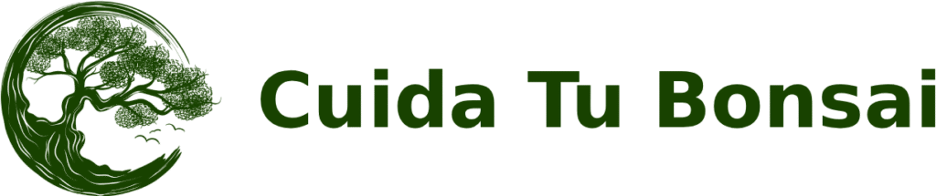 Cuida tu bonsai